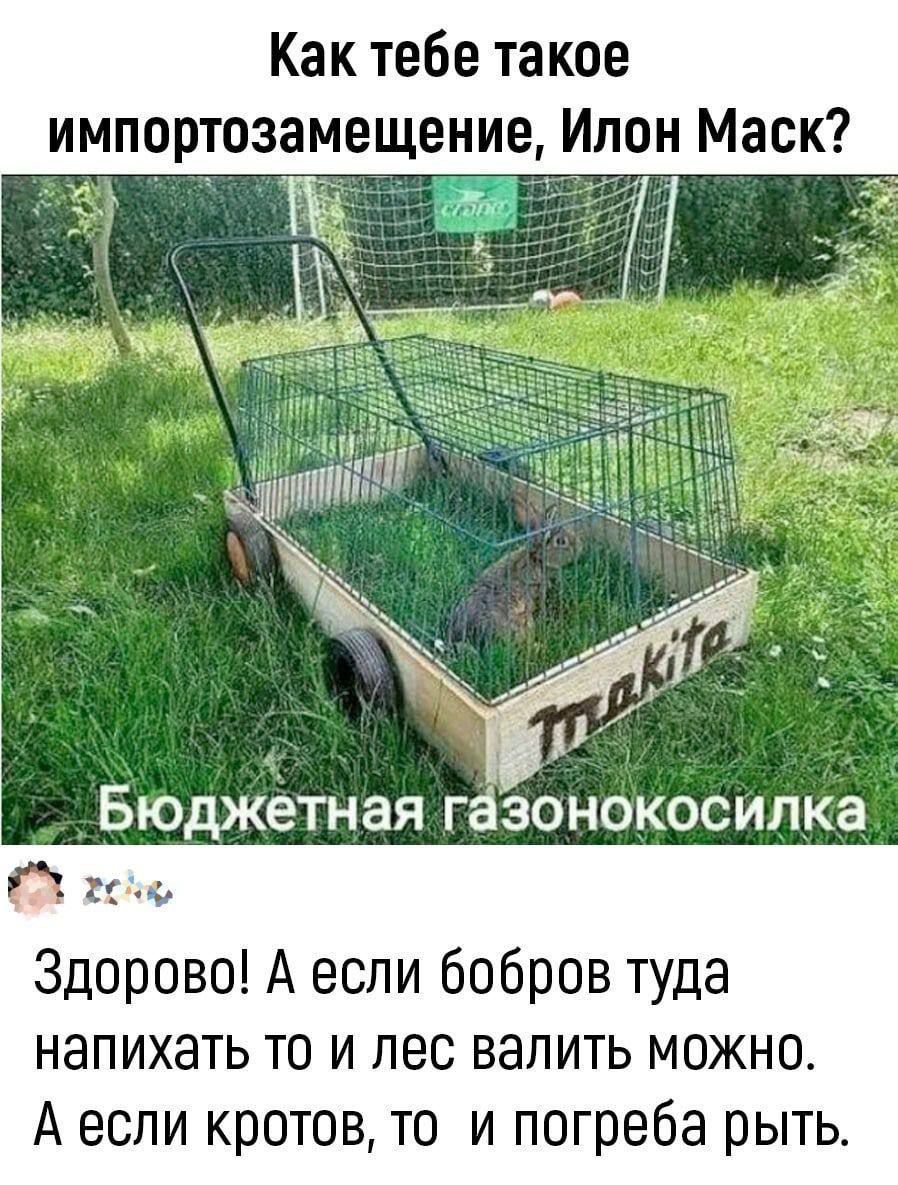 Как тебе такое импортозамещение, Илон Маск? Здорово! А если бобров туда напихать то и лес валить можно. А если кротов, то и погреба рыть.