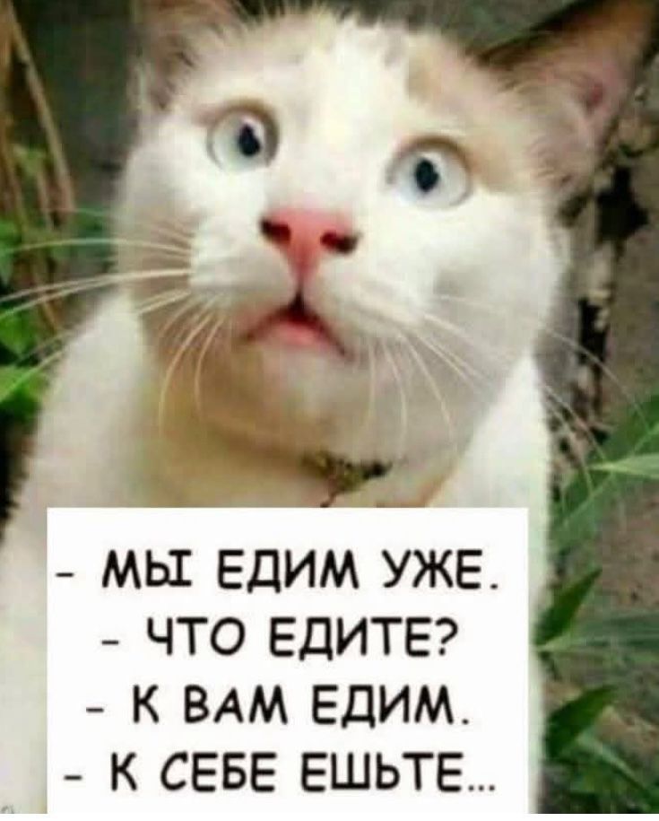 - МЫ ЕДИМ УЖЕ.
- ЧТО ЕДИТЕ?
- К ВАМ ЕДИМ.
- К СЕБЕ ЕШЬТЕ...