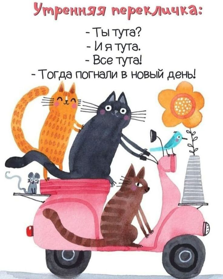 Утреняя перекличка:
- Ты тут?
- Я тут.
- Все тут!
- Тогда погнали в новый день!