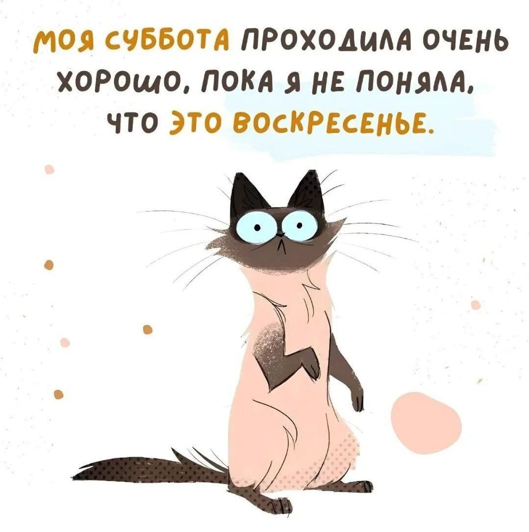 МОЯ СУББОТА ПРОХОДИЛА ОЧЕНЬ ХОРОШО, ПОКА Я НЕ ПОНИМАЛА, ЧТО ЭТО ВОСКРЕСЕНЬЕ.