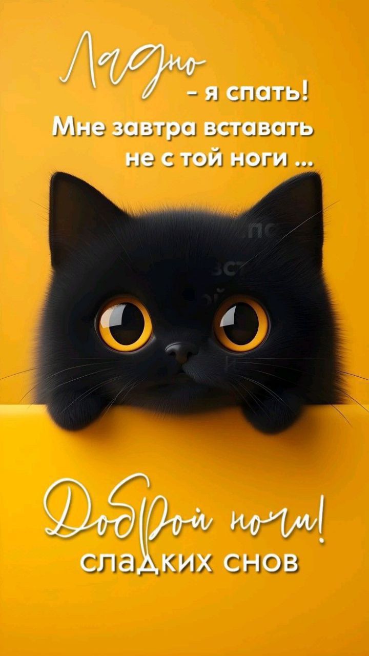Ладно - я спать! Мне завтра вставать не с той ноги ... Доброй ночи! сладких снов
