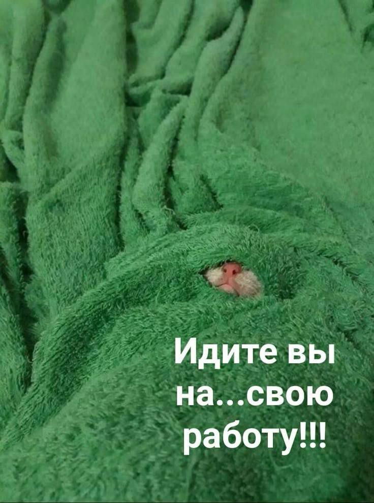 Идите вы на...свою работу!!!
