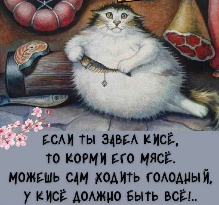 ЕСЛИ ТЫ ЗАВЕЛ КИСЕ,
ТО КОРМИ ЕГО МЯСОМ.
МОЖЕШЬ САМ ХОДИТЬ ГОЛОДНЫЙ,
У КИСЬЁ ДОЛЖНО БЫТЬ ВСЁ!..