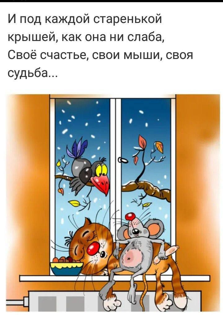 И под каждой старенькой крышей, как она ни слаба, Свое счастье, свои мыши, своя судьба...