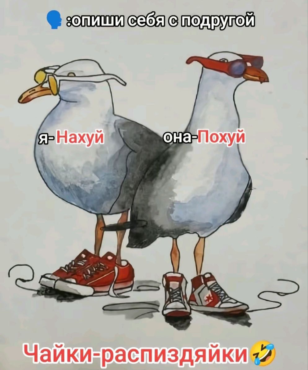 🔵: опиши себя с подругой
я - Нахуй
она - Похуй
Чайки-распиздайки🤣