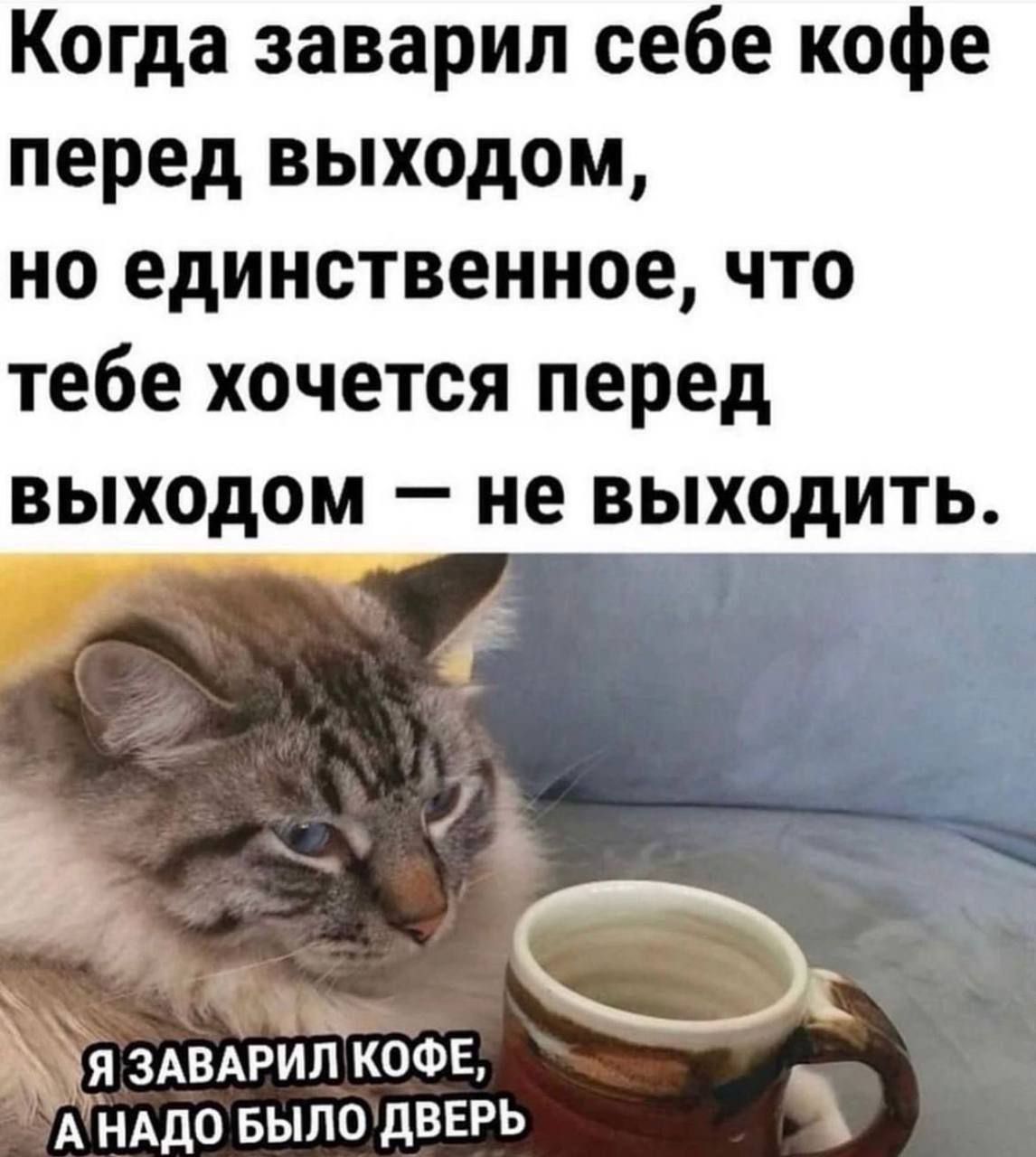 Когда заварил себе кофе перед выходом, но единственное, что тебе хочется перед выходом — не выходить.

Я ЗАВАРИЛ КОФЕ, А НАДО БЫЛО ДВЕРЬ.
