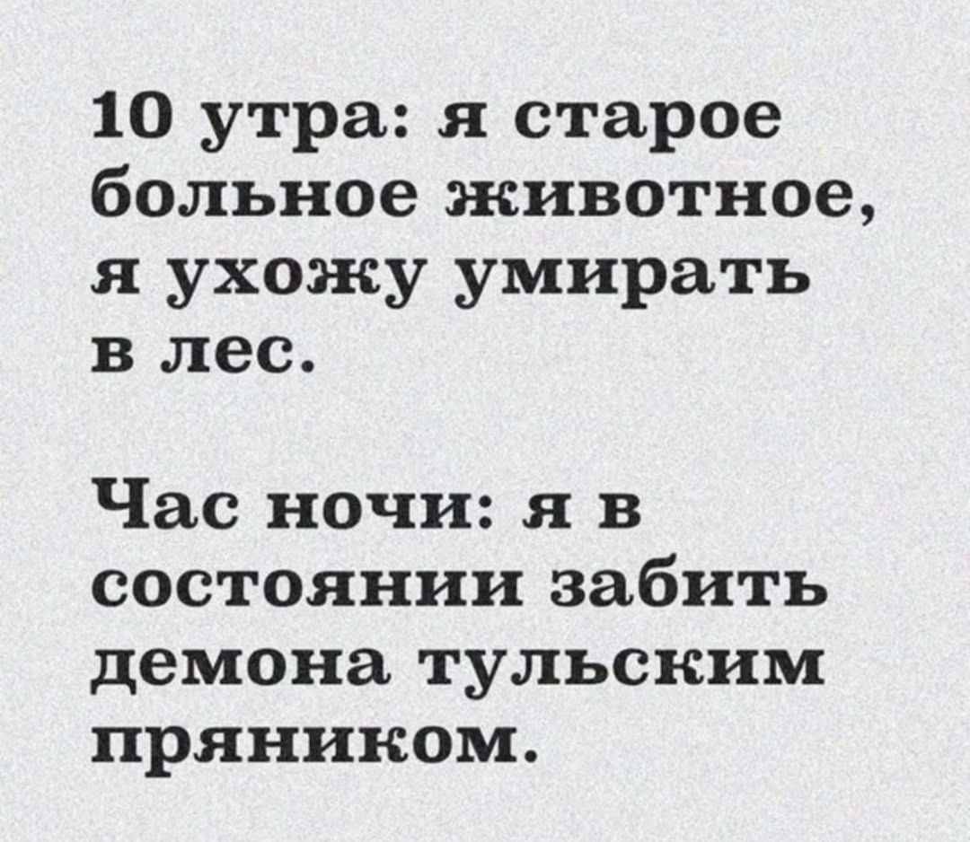 10 утра: я старое больное животное, я ухожу умирать в лес.
Час ночи: я в состоянии забить демона тульским пряником.