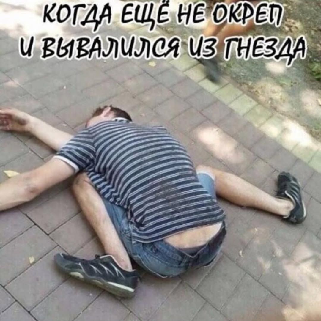 когда ещё не окреп и вывалился из гнезда