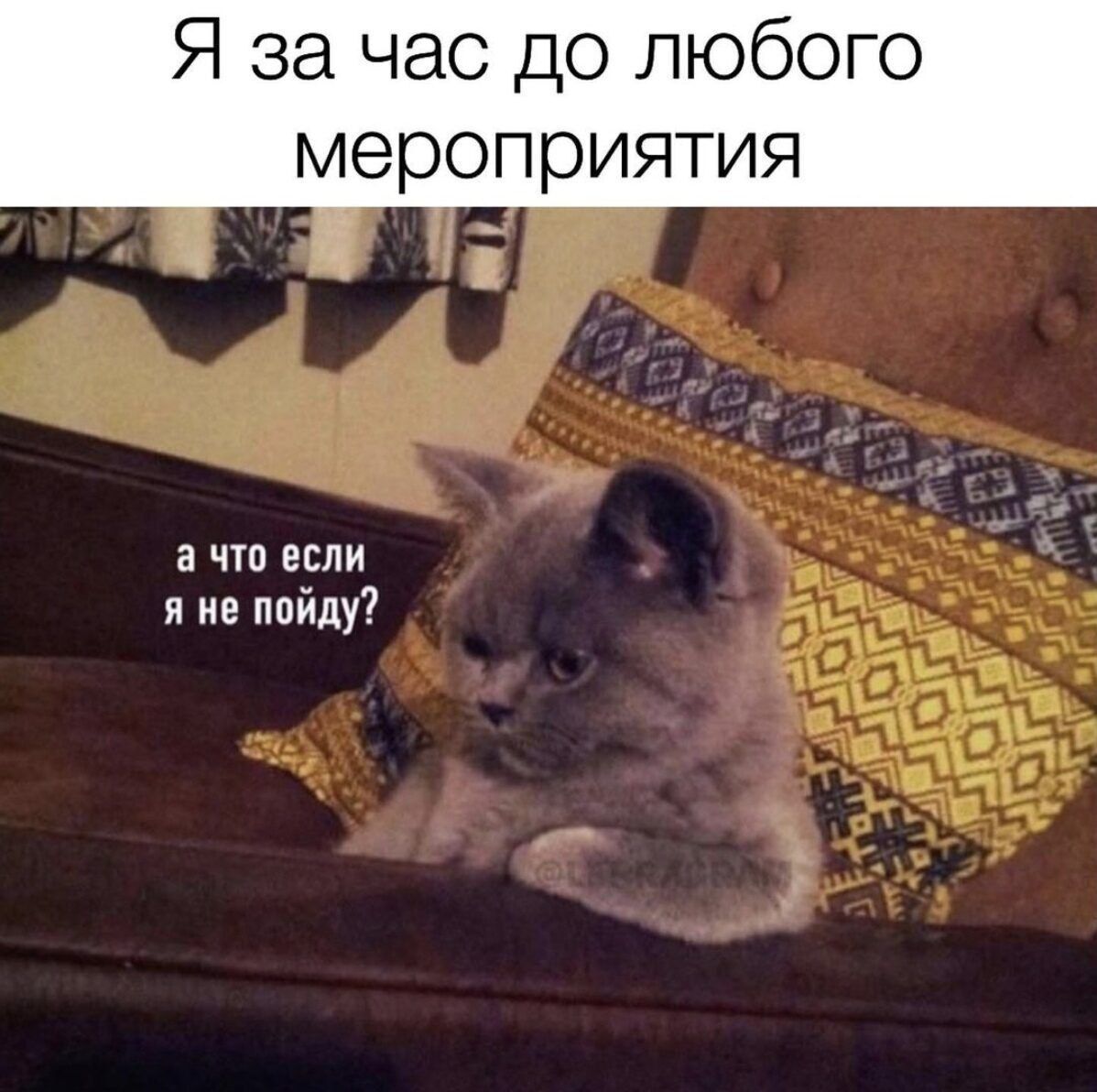 Я за час до любого мероприятия а что если я не пойду?