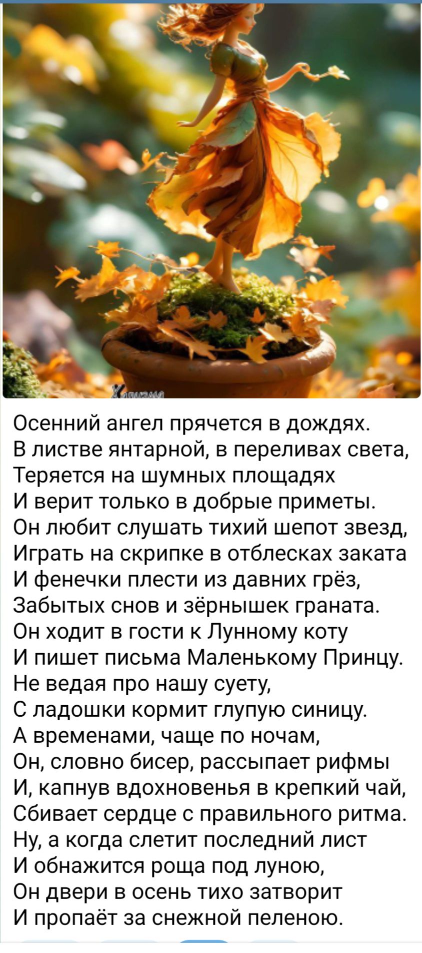 Осенний ангел прячется в дождях. В листве янтарной, в переливах света, Теряется на шумных площадях и верит только в добрые приметы.
Он любит слушать тихий шепот звезд, Играть на скрипке в отблесках заката И фенеки плести из давних грёз, Забытых снов и зёрнышек граната.
Он ходит в гости к Лунному коту И пишет письма Маленькому Принцу. Не ведаешь про нашу суету, С ладошки кушает глупую синицу.
А временами, чаще по ночам, Он, словно бисер, рассыпает рифмы И, каплю вдохновения в крепкий чай, Сбивает сердце с правильного ритма.
Ну, а когда слетит последний лист, Объявит росса под южным ветром, И дверь в осень тихо озорит И проплачет за снежной пеленой.