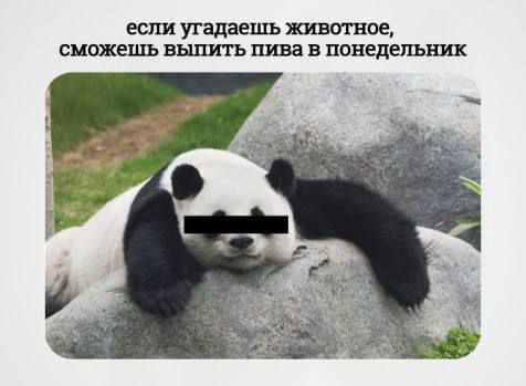 если угадаешь животное, сможешь выпить пива в понедельник