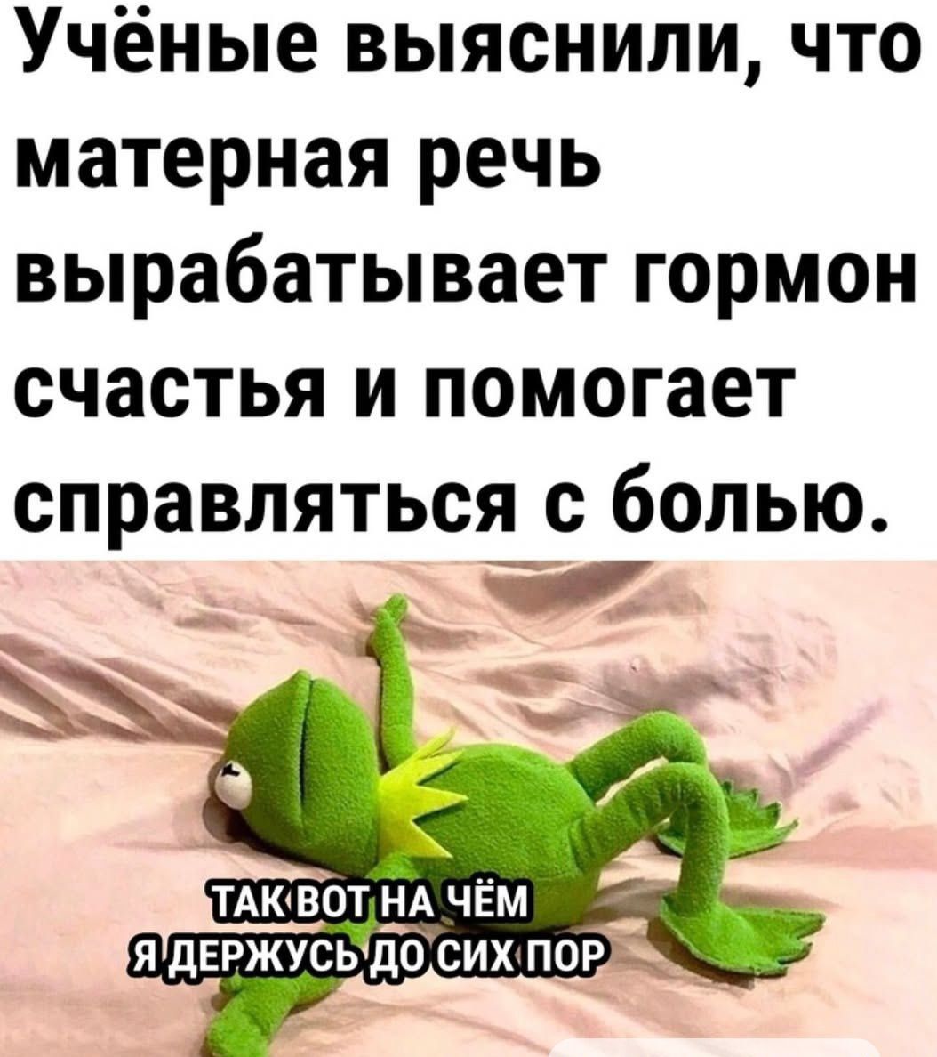 Учёные выяснили, что матерная речь вырабатывает гормон счастья и помогает справляться с болью.

Так вот на чём я держусь до сих пор