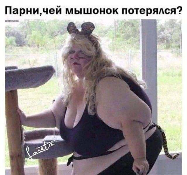 Парни, чей мышонок потерялся?