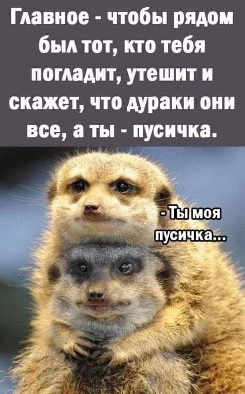 Главное - чтобы рядом был тот, кто тебя погладит, утешит и скажет, что дураки они все, а ты - пушичка.
- Ты моя пушичка...