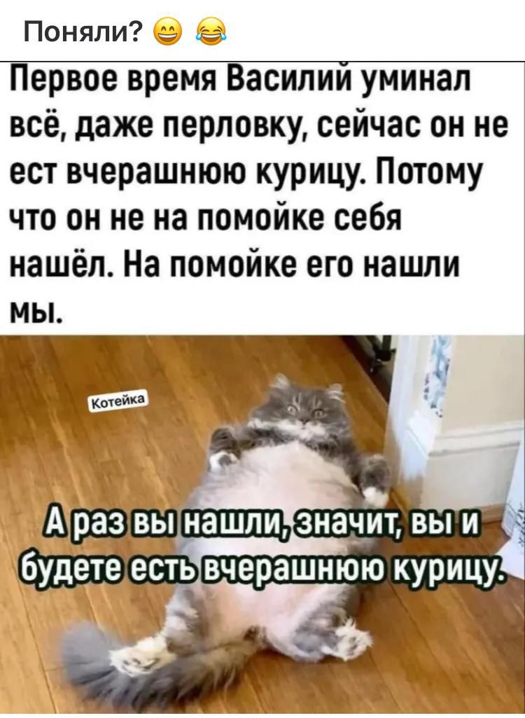 Первое время Василий умирал всё, даже перловку, сейчас он не ест вчерашнюю курицу. Потому что он не на помойке себя нашёл. На помойке его нашли мы.
А раз вы нашли, значит, вы и будете есть вчерашнюю курицу.