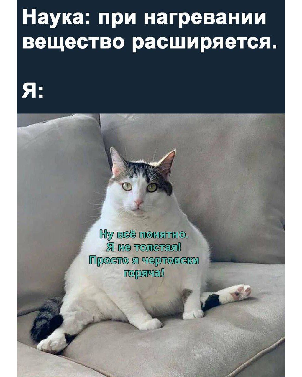 Наука: при нагревании вещество расширяется.
Я:

Ну всё понятно.
Я не толстая!
Просто я чертовски горячна!