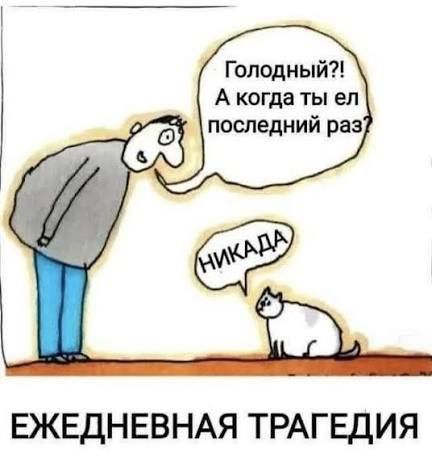 Голодный?! А когда ты ел последний раз? НИКАДА
ЕЖЕДНЕВНАЯ ТРАГЕДИЯ