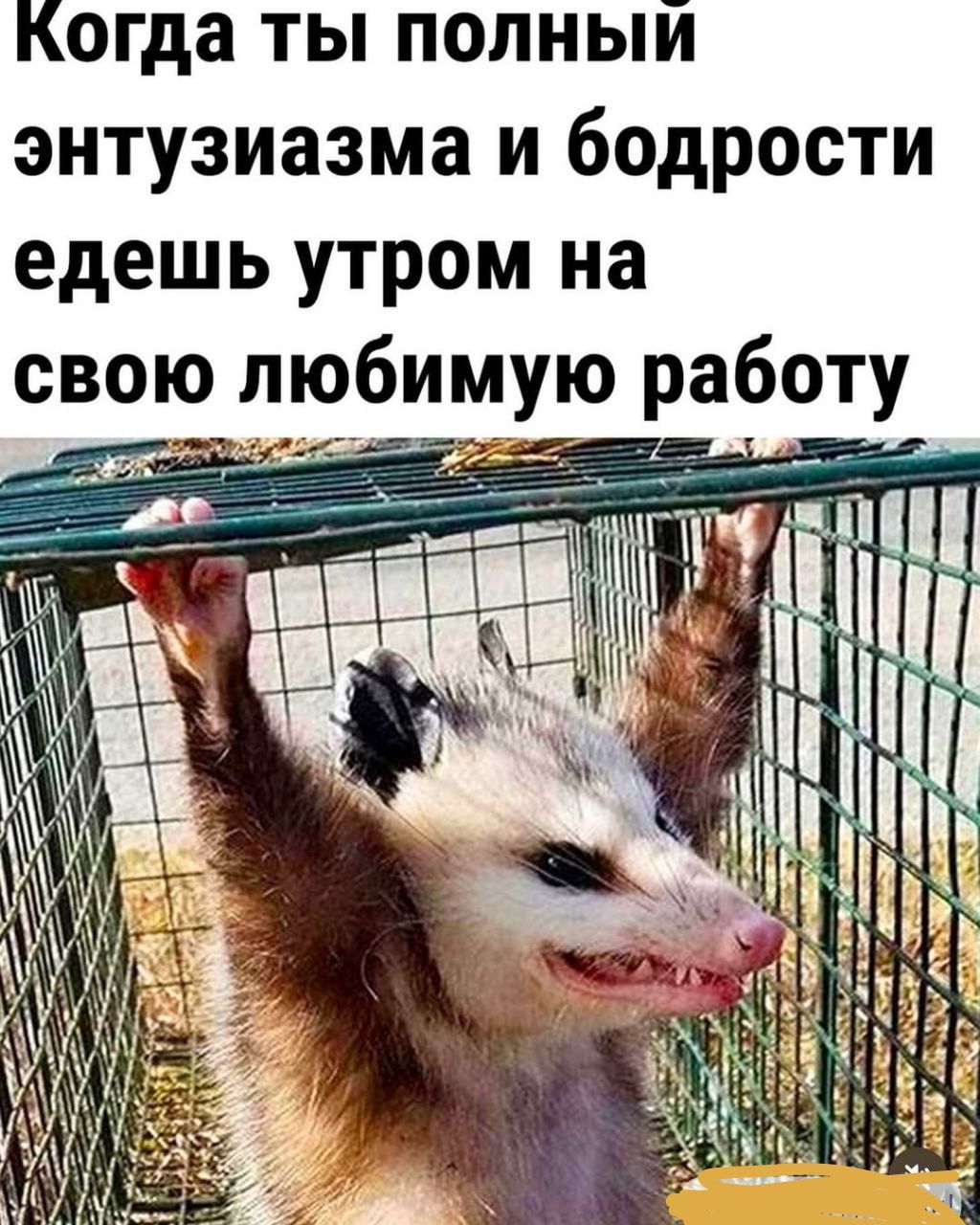 Когда ты полный энтузиазма и бодрости едешь утром на свою любимую работу