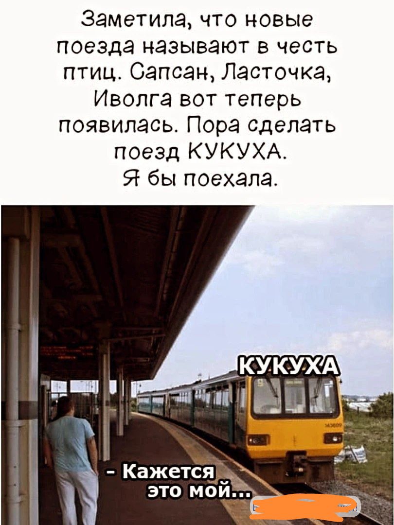Замечала, что новые поезда называют в честь птиц. Сапсан, Ласточка, Иволга вот теперь появилась. Пора сделать поезд КУКУХА. Я бы поехала.
КУКУХА
- Кажется это мой...