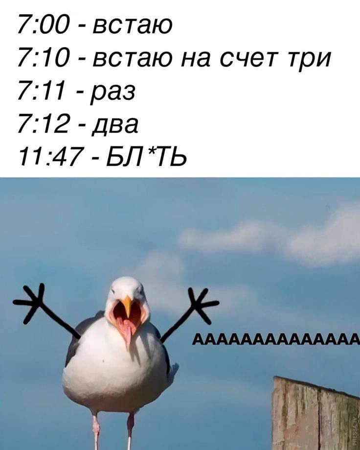 7:00 - встаю
7:10 - встаю на счет три
7:11 - раз
7:12 - два
11:47 - БЛ*ТЬ
AAAAAAAAAAAAAAA