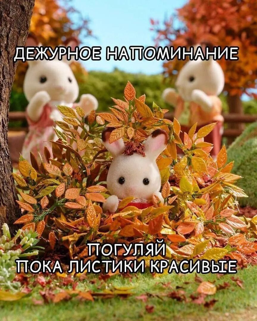 ДЕЖУРНОЕ НАПОМИНАНИЕ ПОГУЛЯЙ ПОКА ЛИСТИКИ КРАСИВЫЕ