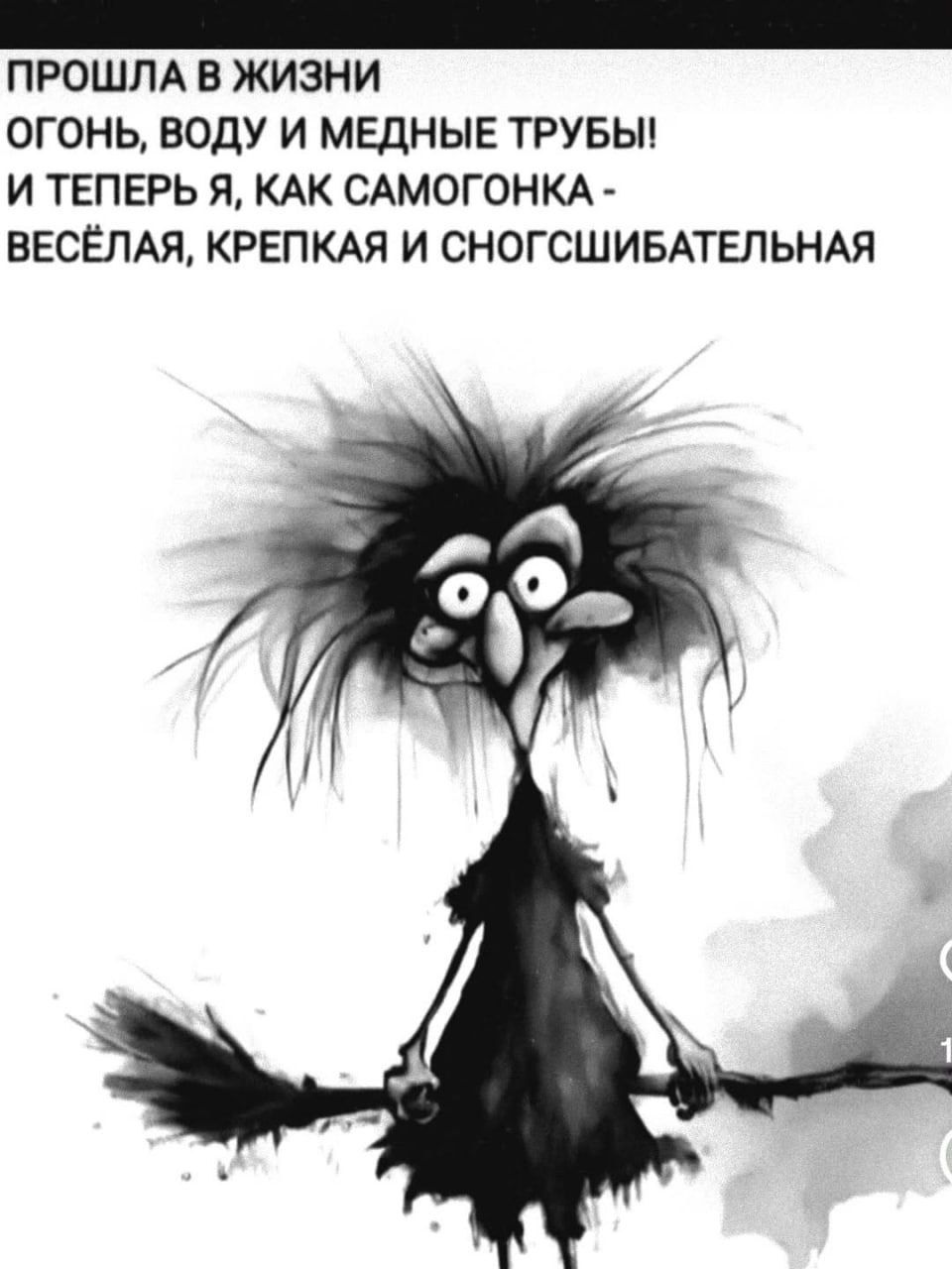 ПРОШЛА В ЖИЗНИ
ОГОНЬ, ВОДУ И МЕДНЫЕ ТРУБЫ!
И ТЕПЕРЬ Я, КАК САМОГОНКА -
ВЕСЁЛАЯ, КРЕПКАЯ И СНОГСШИБАТЕЛЬНАЯ