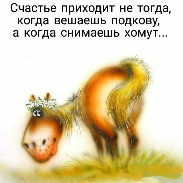 Счастье приходит не тогда, когда вешаешь подкову, а когда снимаешь хомут...