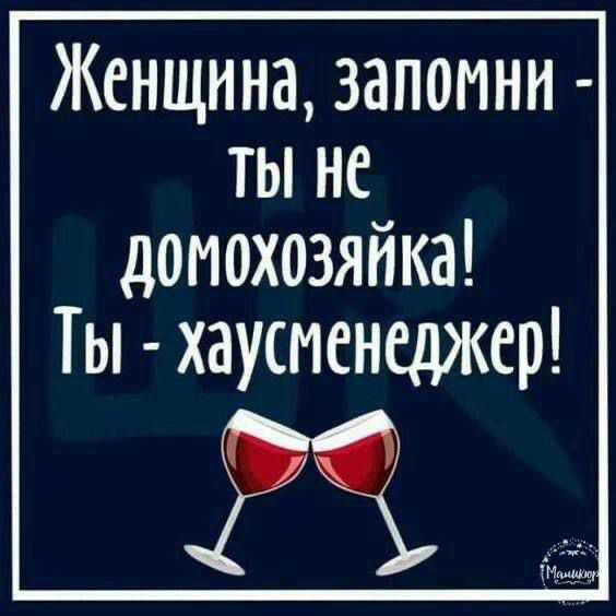Женщина, запомни - ты не домохозяйка! Ты - hausменеджер!