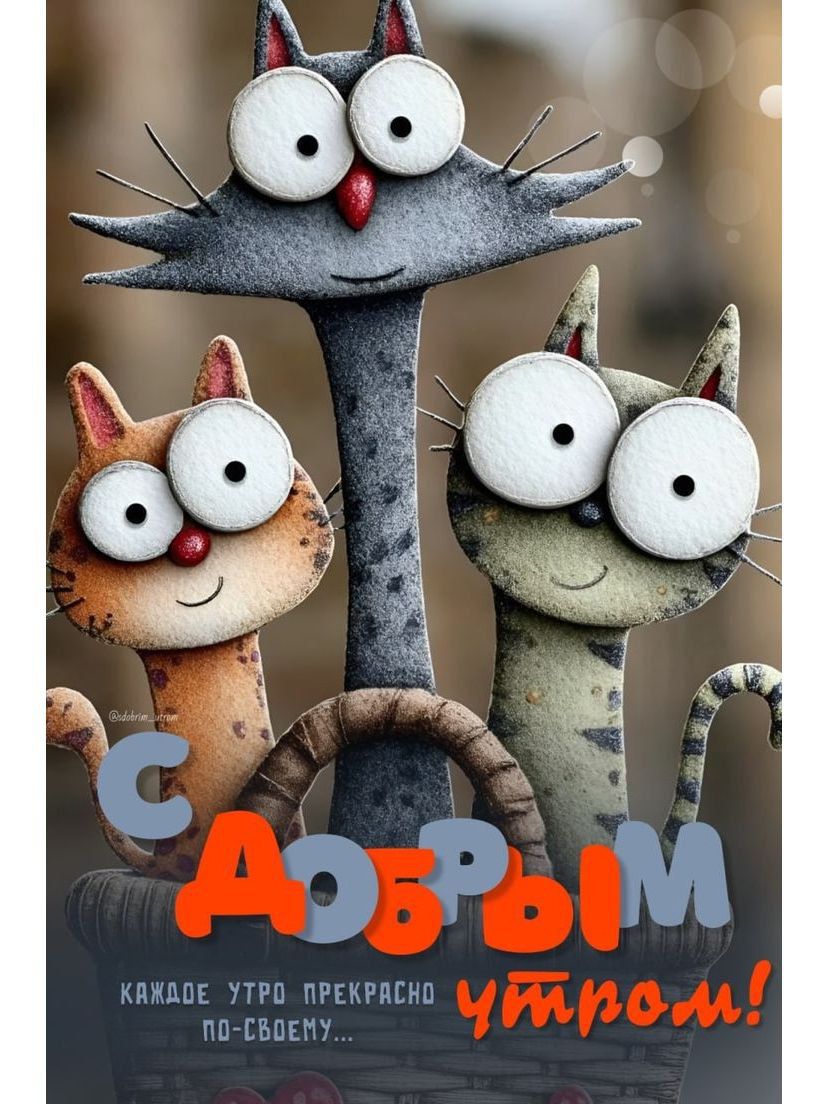 Каждое утро прекрасно по-своему...