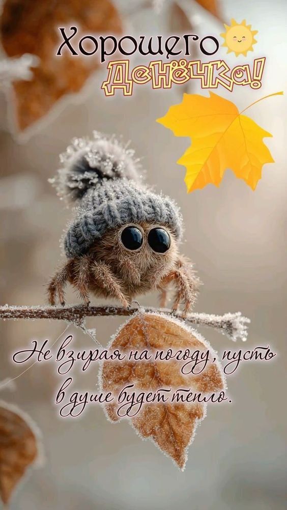 Хорошего денёчка! Не взирая на погоду, пусть в душе будет тепло.