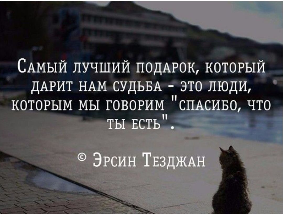 Самый лучший подарок, который дарит нам судьба - это люди, которым мы говорим 