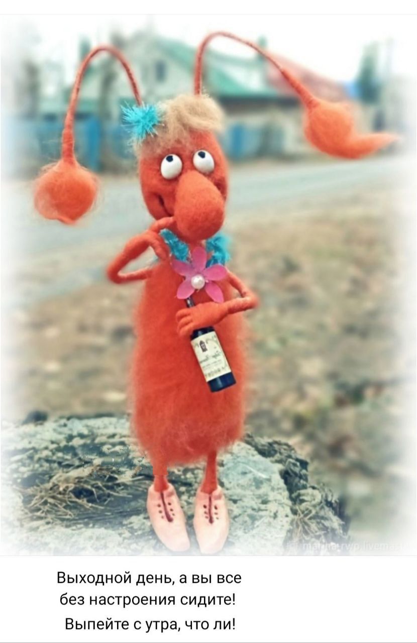 Выходной день, а вы все без настроения сидите! Выпейте с утра, что ли!
