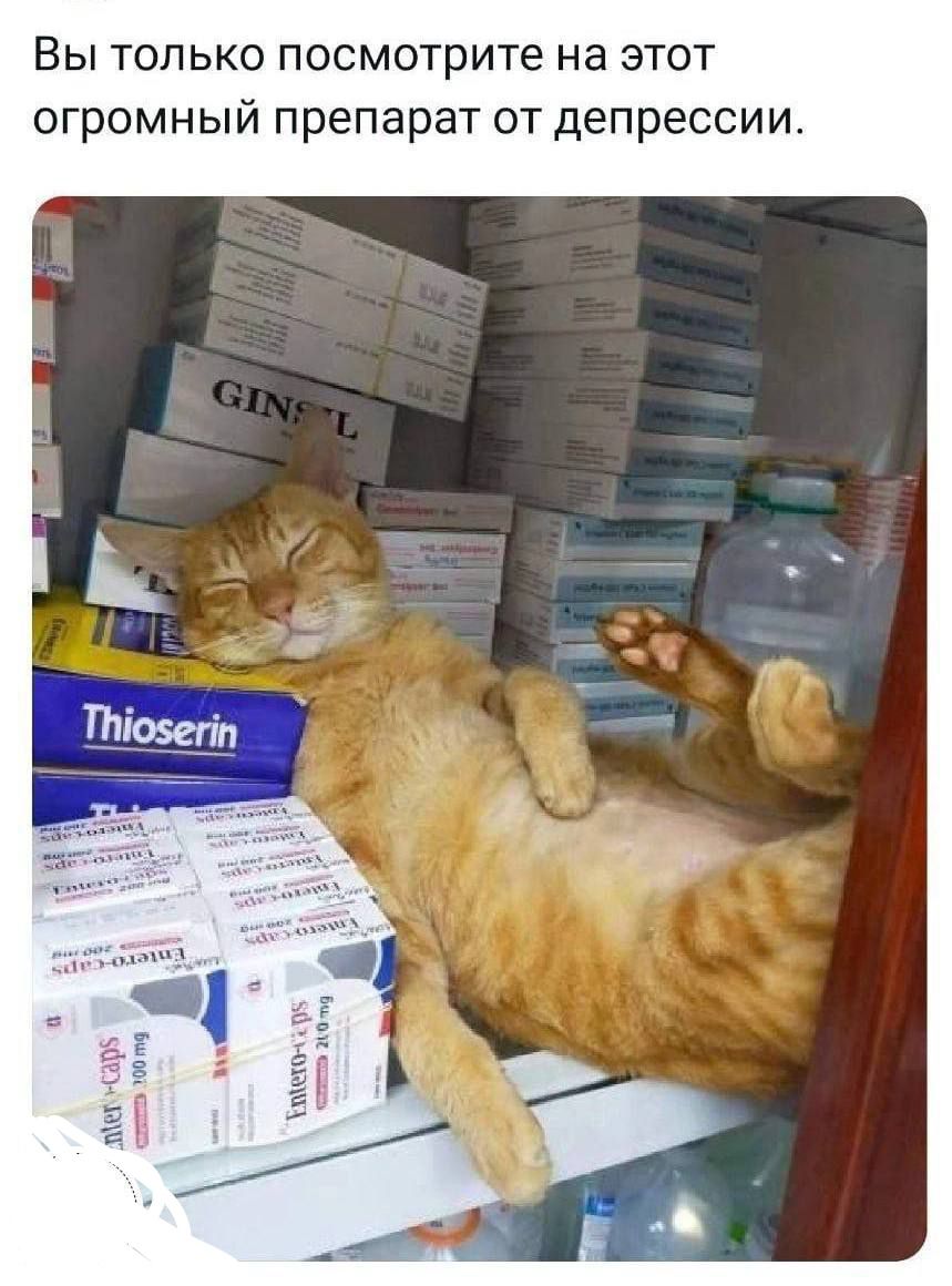 Вы только посмотрите на этот огромный препарат от депрессии.