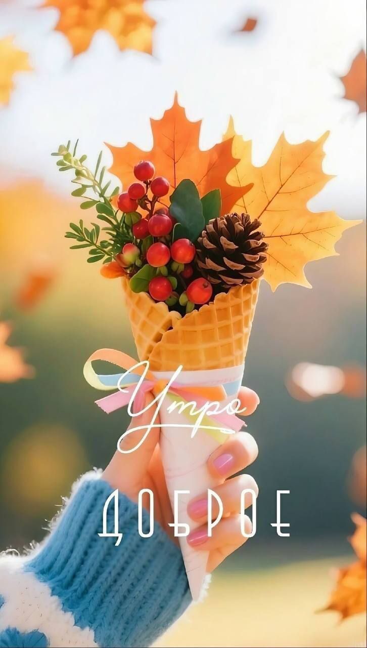 Утро доброе