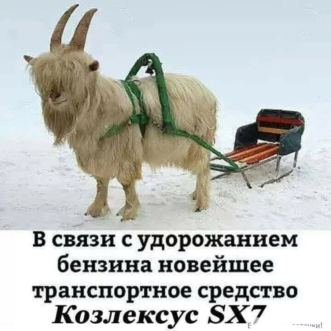 В связи с удорожанием бензина новейшее транспортное средство Козлексус SX7