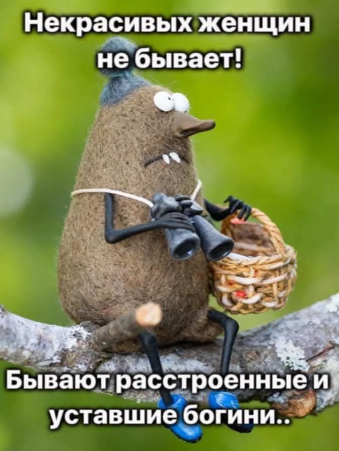 Некрасивых женщин не бывает! Бывают расстроенные и усталые богини..