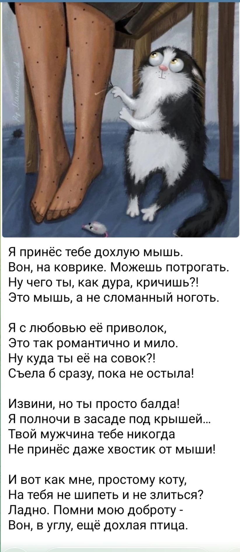 Я принёс тебе дохлую мышь. Вон, на коврике. Можешь потрогать. Ну чего ты, как дура, кричишь?! Это мышь, а не сломанный ноготь. Я с любовью её приволок, Это так романтично и мило. Ну куда ты её на совок?! Съела бы сразу, пока не остыла! Извиняй, но ты просто балда! Я полночь в засаде под крышей… Твой мужчина тебе никогда не принёс даже хвостик от мыши! И вот как мне, простому коту, На тебя не шипеть и не злиться? Ладно. Помни мою доброту - Вон, в углу, ещё дохлая птица.