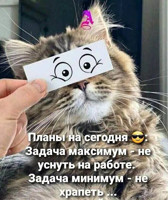 Планы на сегодня😎: Задача максимум - не уснуть на работе. Задача минимум - не храпеть ...