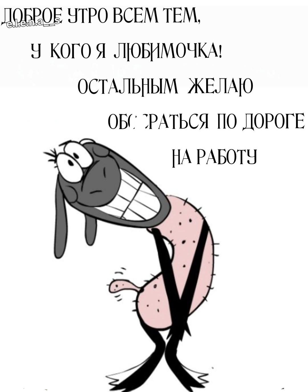 Доброе утро всем тем, у кого я любимочка! Остальным желаю обернуться по дороге на работу