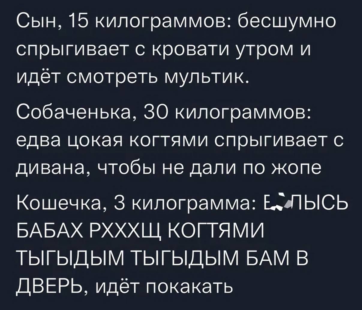 Сын, 15 килограммов: бесшумно спрыгивает с кровати утром и идёт смотреть мультик. Собаченька, 30 килограммов: едва цокая когтями спрыгивает с дивана, чтобы не дали по жопе. Кошечка, 3 килограмма: Е...выС БАБАХ РХХХХ КОГТЯМИ ТЫГИДЫМ ТЫГИДЫМ БАМ В ДВЕРЬ, идёт покакать