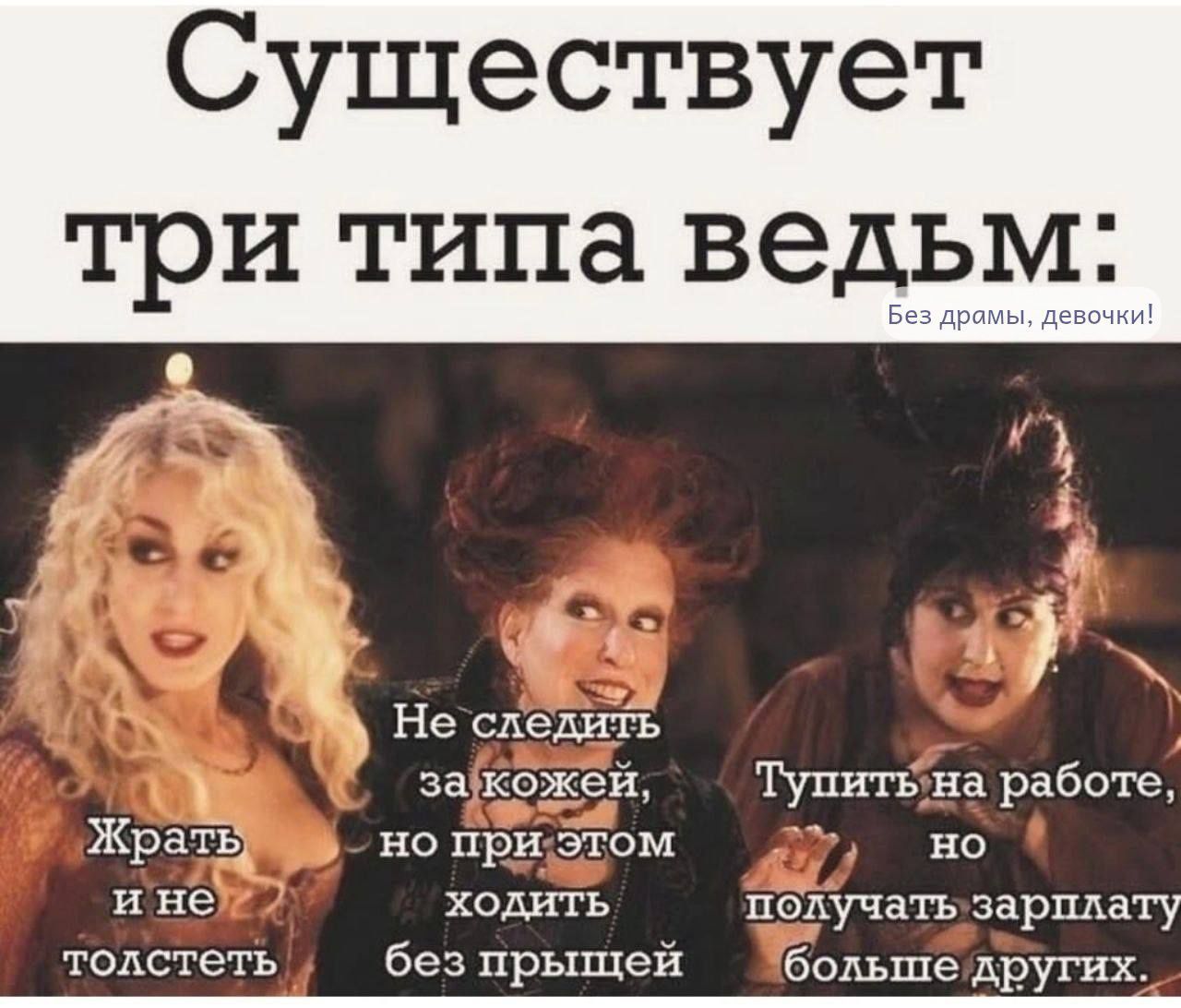 Существует три типа ведьм: Жрать и не толстеть; Не следить за кожей, но при этом ходить без прыщей; Тупить на работе, но получать зарплату больше других.
