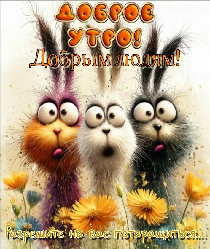 Доброе утро! Добрым людям! Разрешите на вас порадоваться.