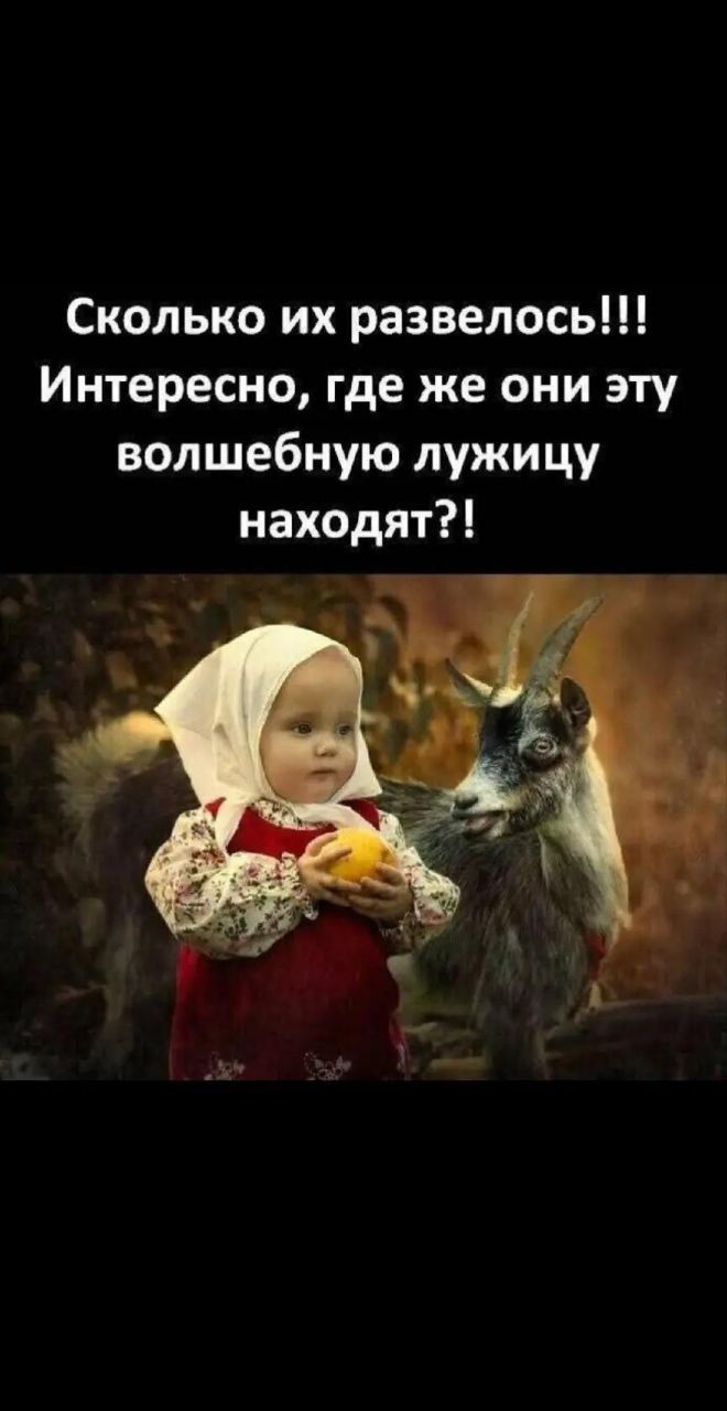 Сколько их развелось!!! Интересно, где же они эту волшебную лужицу находят?!