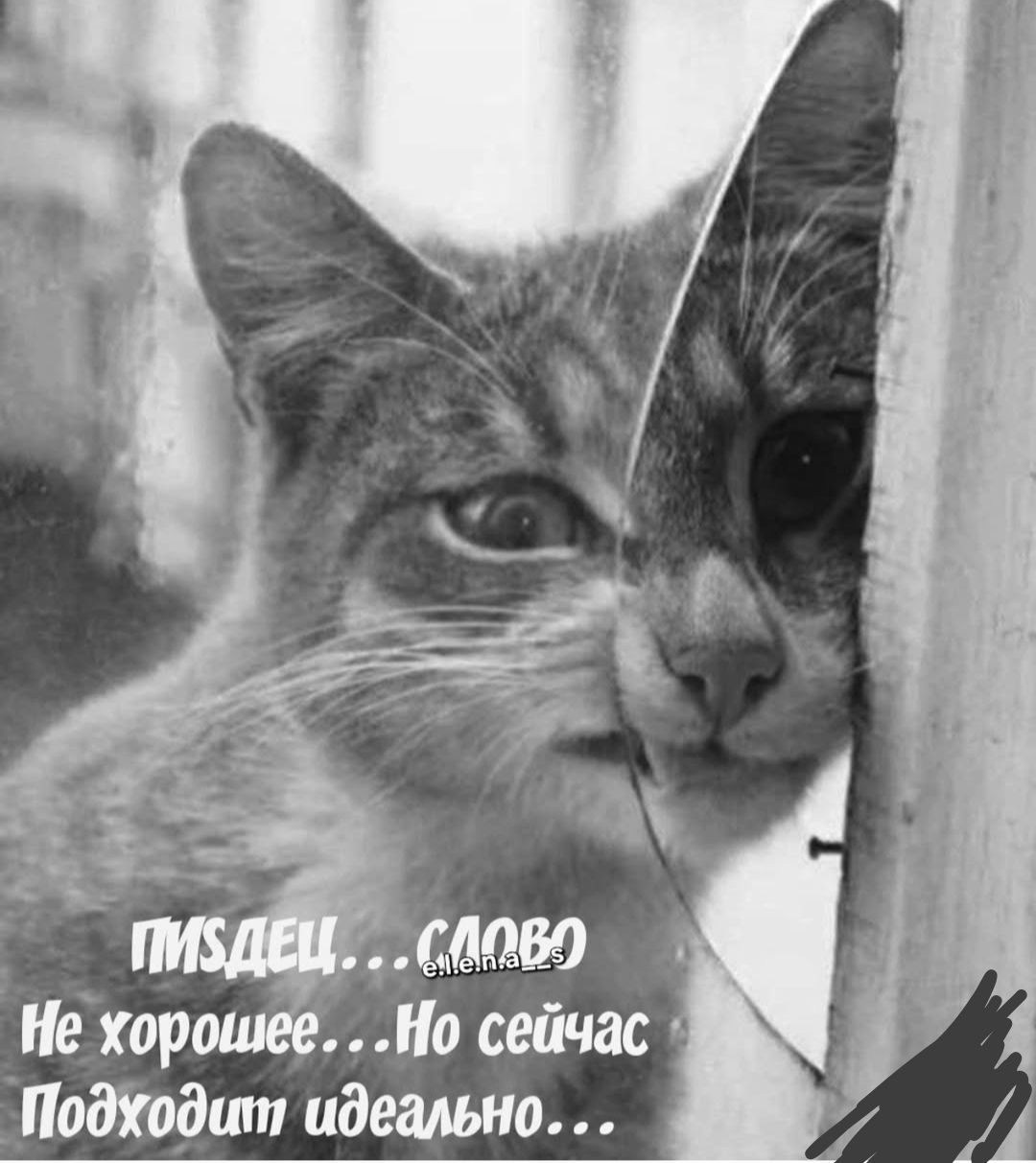 Пиздец...слово не хорошее...Но сейчас подходит идеально...