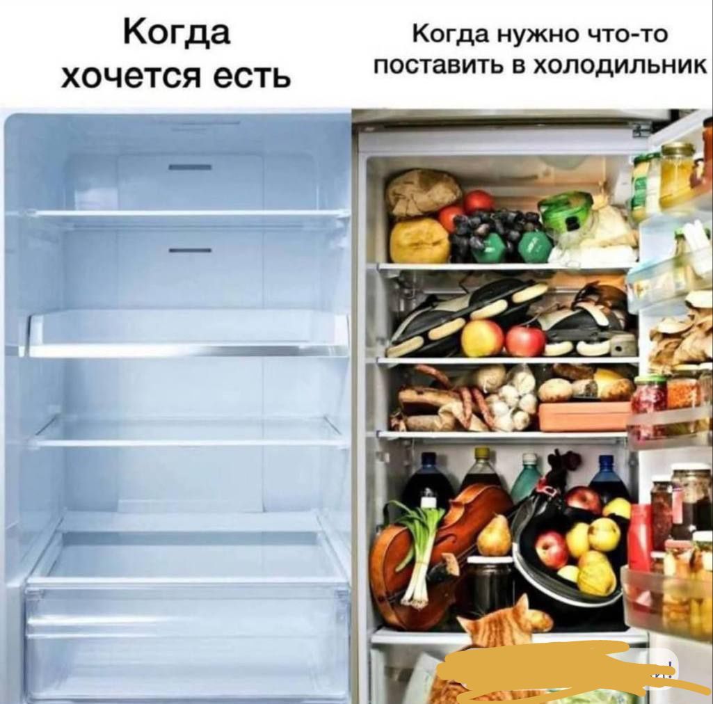 Когда хочется есть. Когда нужно что-то поставить в холодильник
