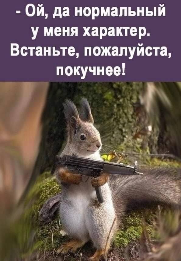 - Ой, да нормальный у меня характер. Встаньте, пожалуйста, покучнее!
