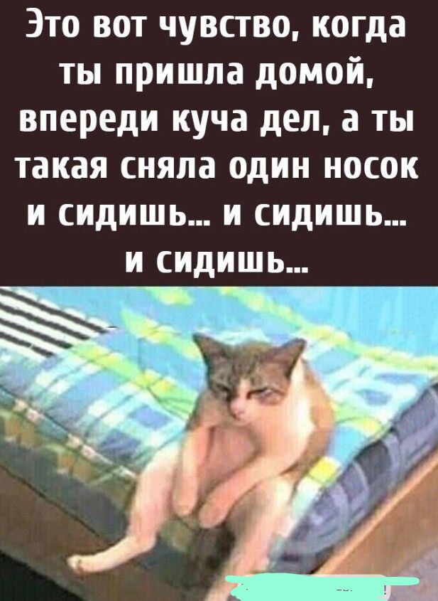 Это вот чувство, когда ты пришла домой, впереди куча дел, а ты такая сняла один носок и сидишь... и сидишь... и сидишь...