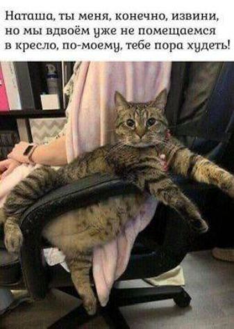 Наташа, ты меня, конечно, извини, но мы вдвоём уже не помещаемся в кресло, по-моему, тебе пора худеть!