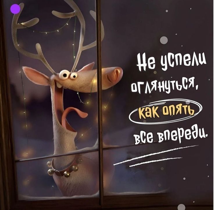 Не успели оглянуться, как опять всё впереди.