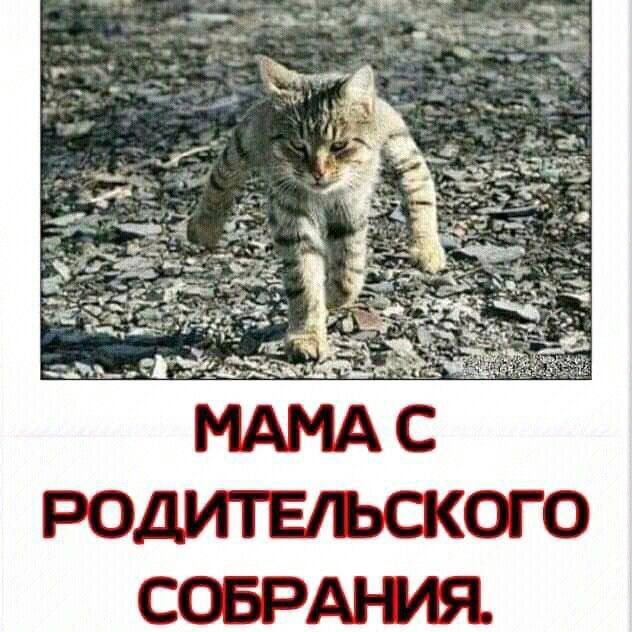 МАМА С РОДИТЕЛЬСКОГО СОБРАНИЯ.